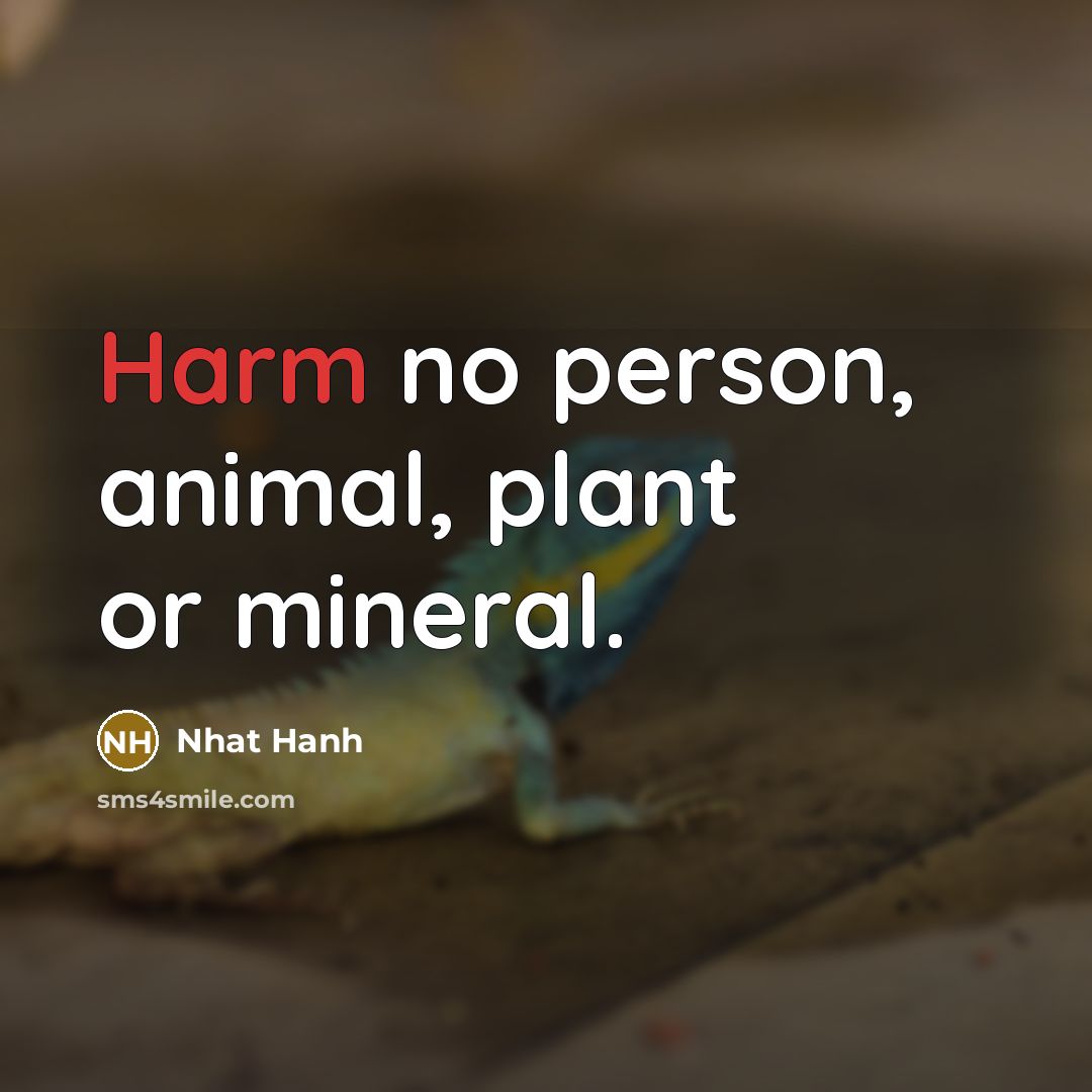 “Harm no person, animal, plant or mineral.…” quote by Nhat Hanh