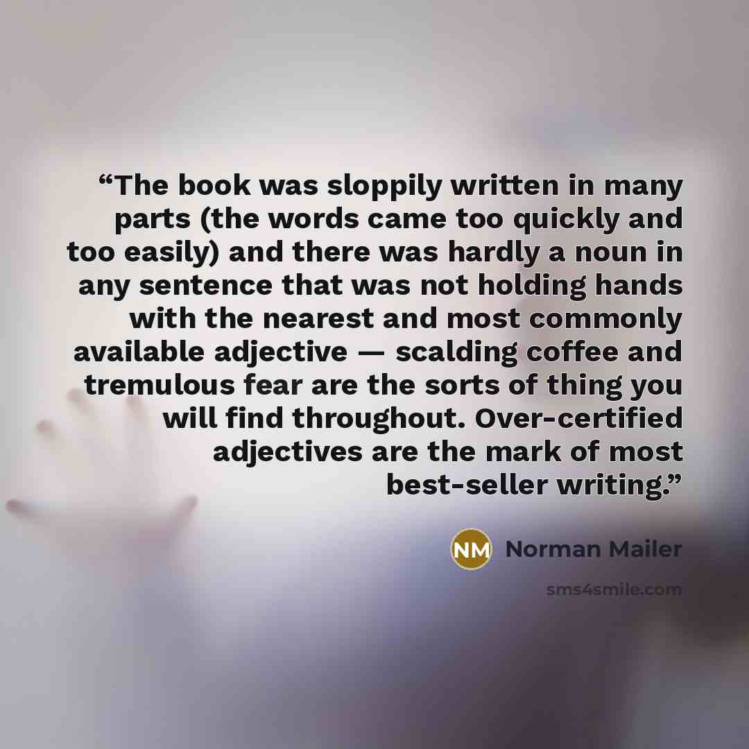 “The book was sloppily written in many parts (the words came too quickly and too easily) and there was hardly a noun in any sentence that was not holding hands with the nearest and most commonly available adjective — scalding coffee and tremulous fear are the sorts of thing you will find…” quote by Norman Mailer