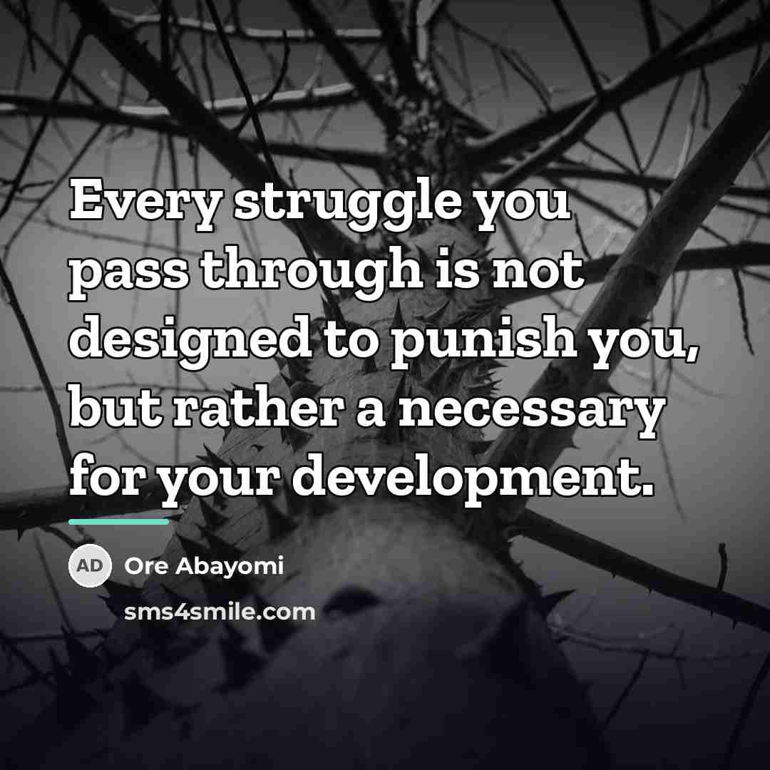 “Every struggle you pass through is not designed to punish…” quote by Ore Abayomi