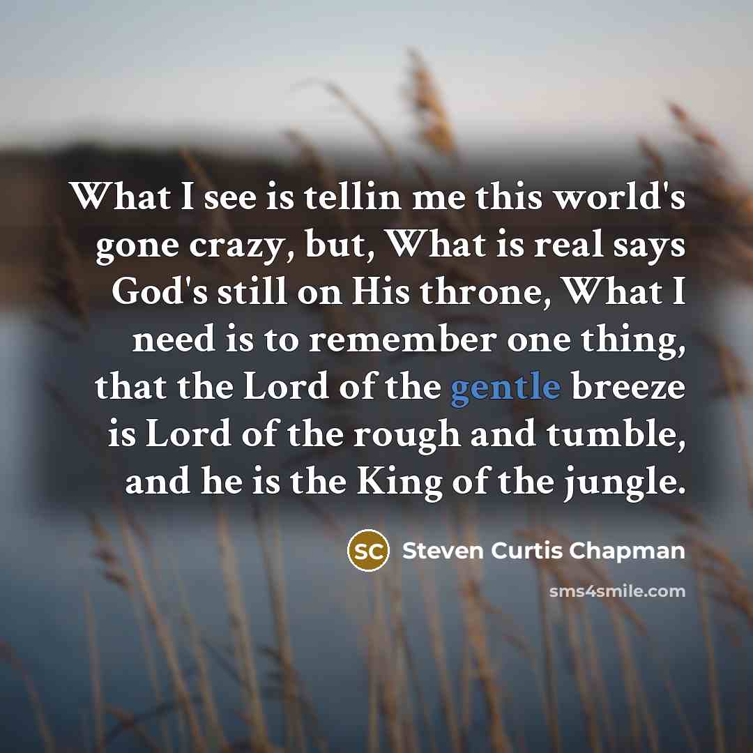 “What I see is tellin me this world's gone crazy,…” quote by Steven Curtis Chapman