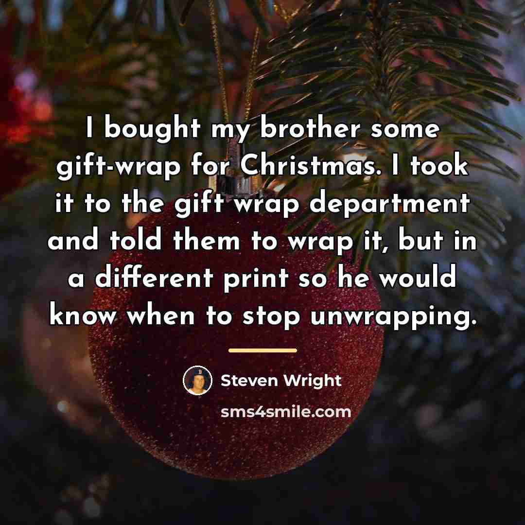 “I bought my brother some gift-wrap for Christmas. I took…” quote by Steven Wright