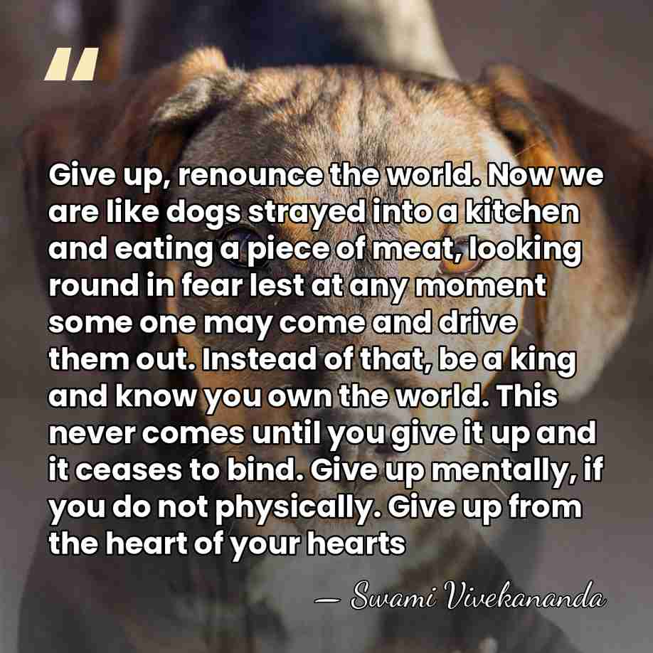 Give up, renounce the world. Now we are like dogs strayed into&hellip; - Swami Vivekananda
