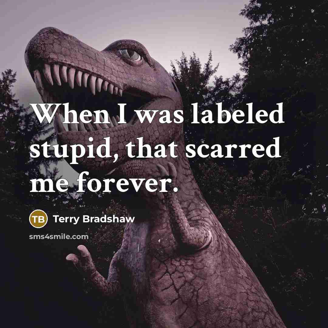 “When I was labeled stupid, that scarred me forever.…” quote by Terry Bradshaw