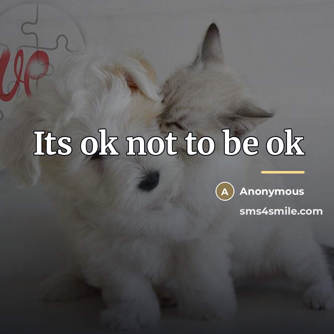 “Its ok not to be ok…” quote by Anonymous
