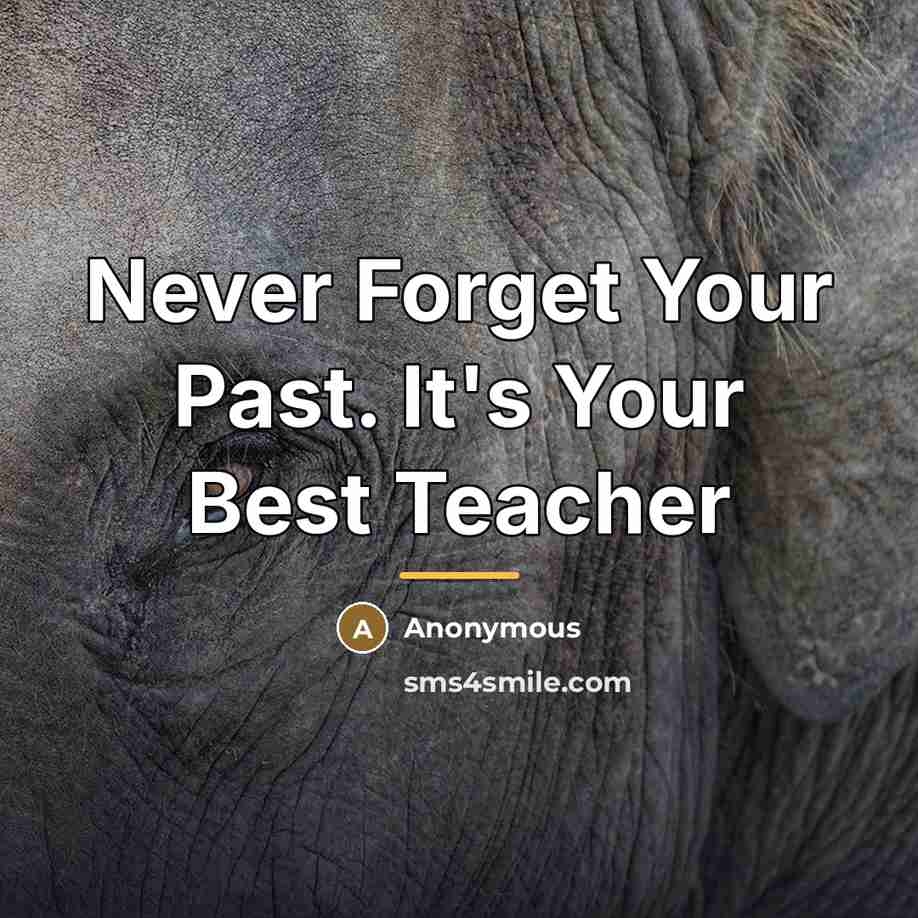 “Never Forget Your Past. It's Your Best Teacher…” quote by Anonymous