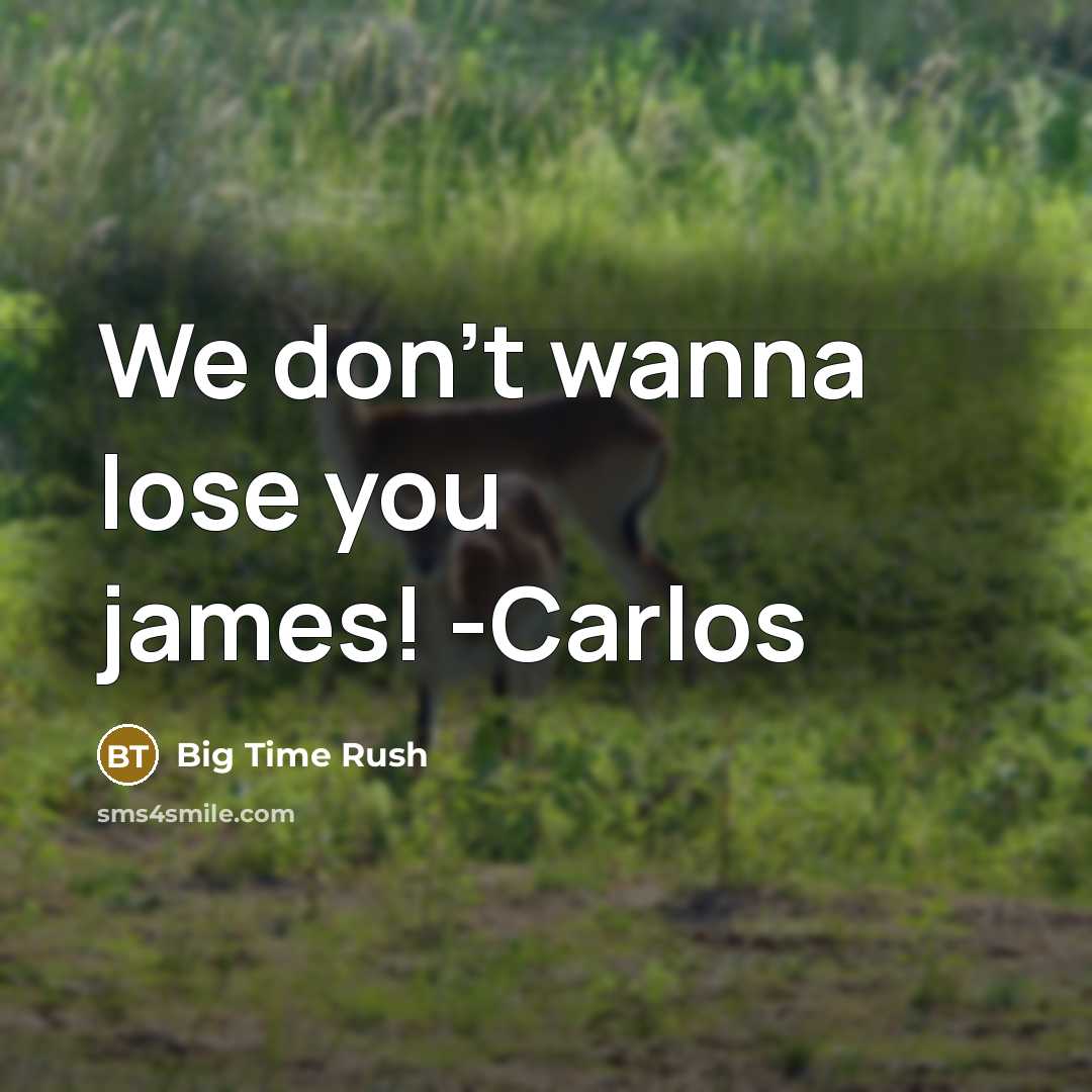 “We don't wanna lose you james! -Carlos” quote by Big Time Rush