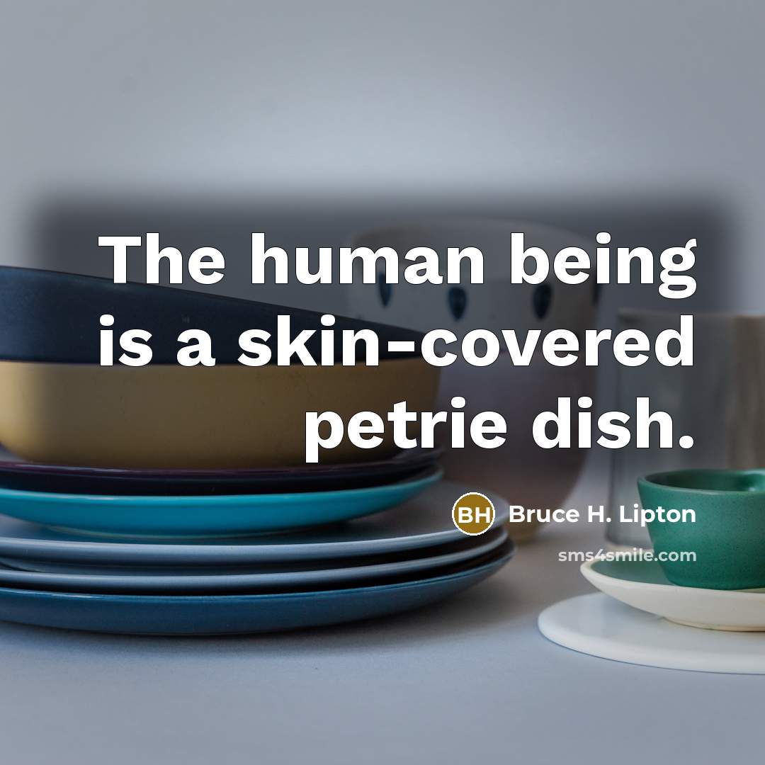 “The human being is a skin-covered petrie dish.…” quote by Bruce H. Lipton