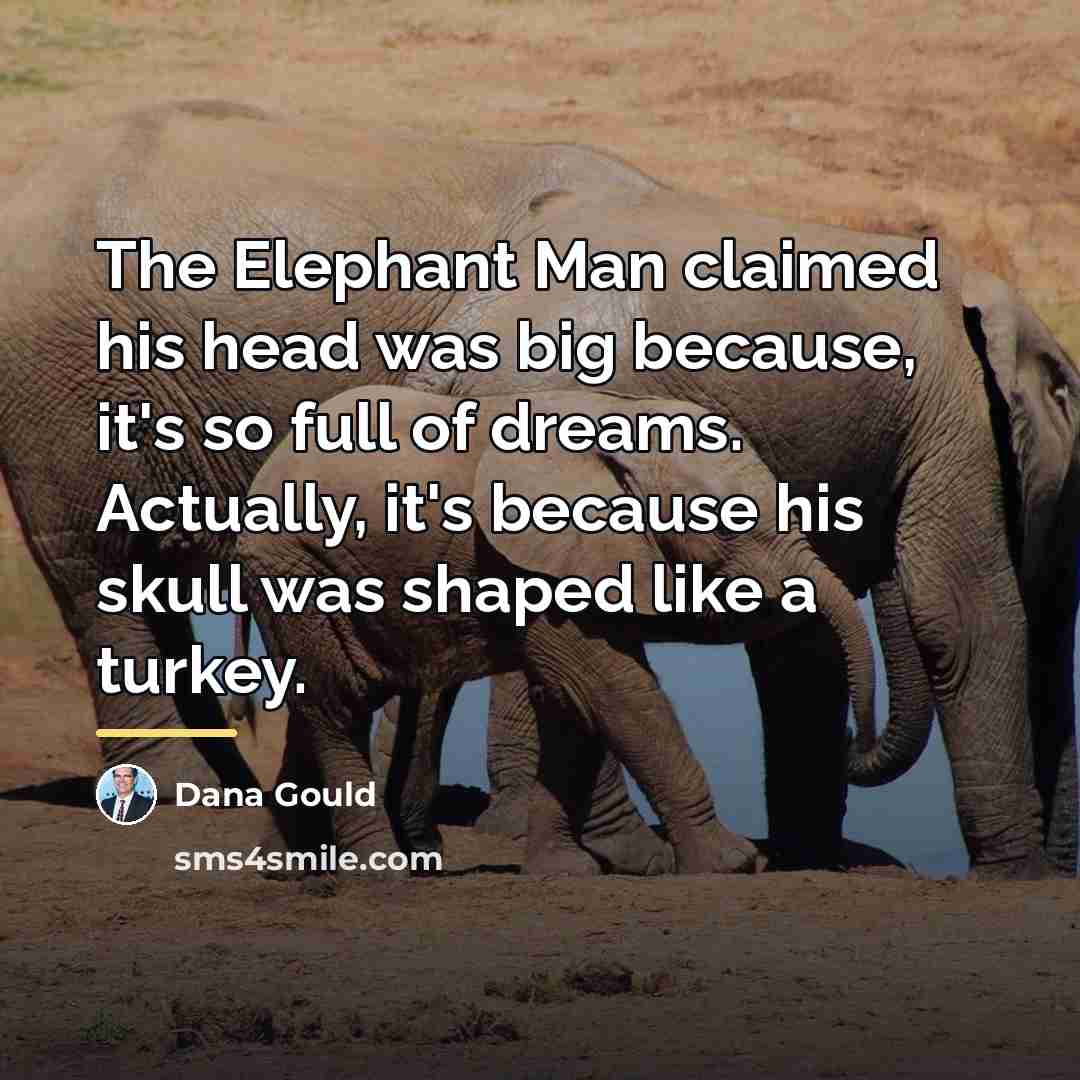 “The Elephant Man claimed his head was big because, it's…” quote by Dana Gould