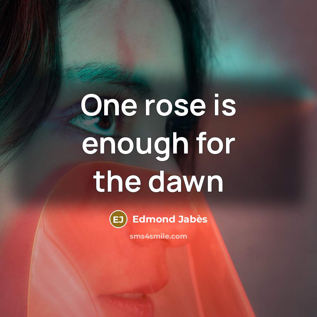 “One rose is enough for the dawn…” quote by Edmond Jabes