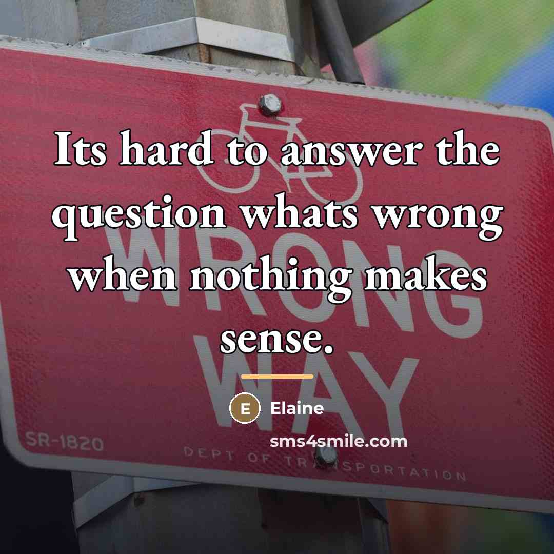 “Its hard to answer the question whats wrong when nothing…” quote by Elaine