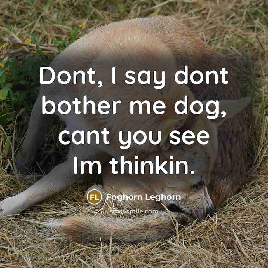 “Dont, I say dont bother me dog, cant you see Im thinkin.” quote by Foghorn Leghorn