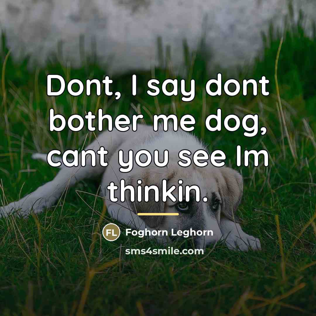 “Dont, I say dont bother me dog, cant you see…” quote by Foghorn Leghorn