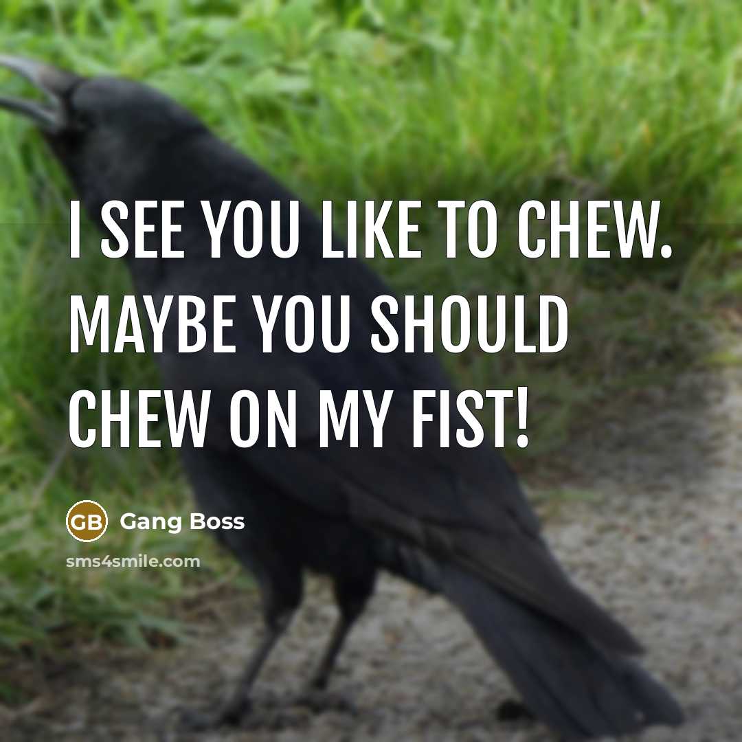 “I see you like to chew. Maybe you should chew ON MY FIST!” quote by Gang Boss