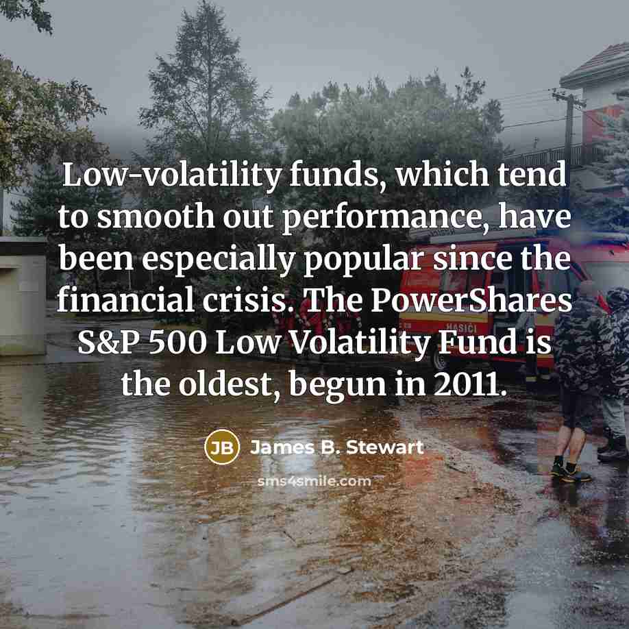 “Low-volatility funds, which tend to smooth out performance, have been…” quote by James B. Stewart