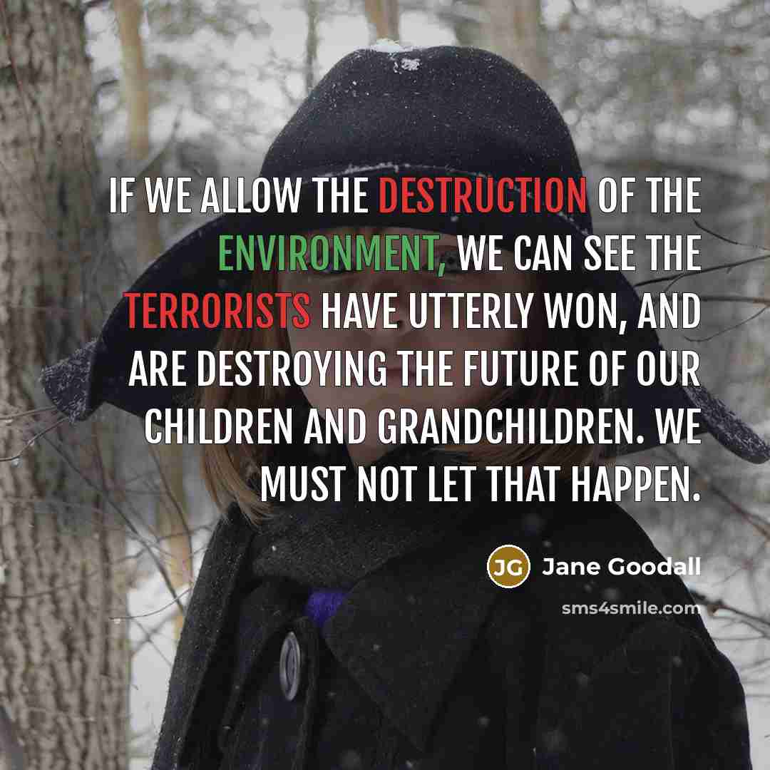 “If we allow the destruction of the environment, we can…” quote by Jane Goodall