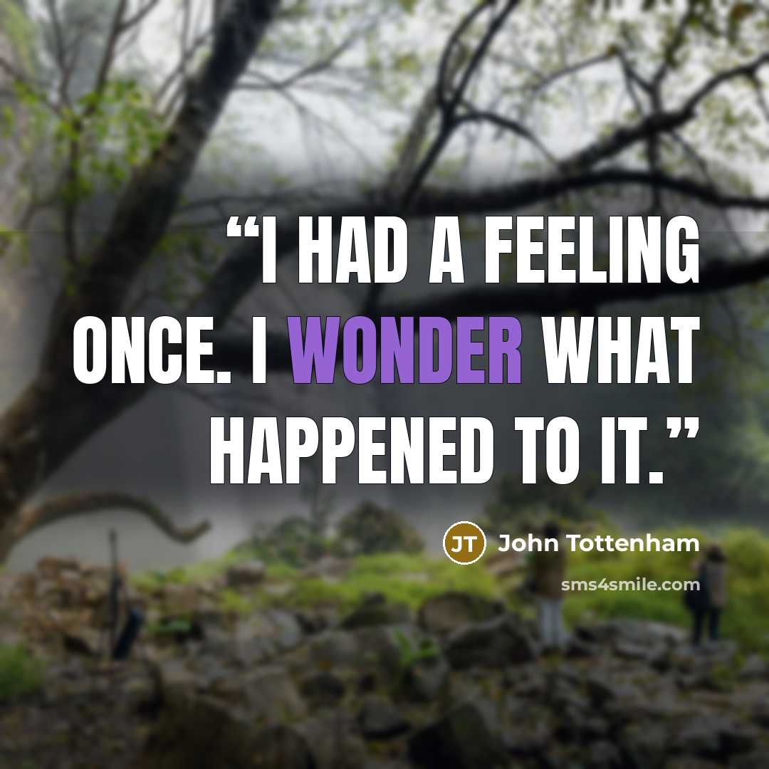 “I had a feeling once. I wonder what happened to it.” quote by John Tottenham