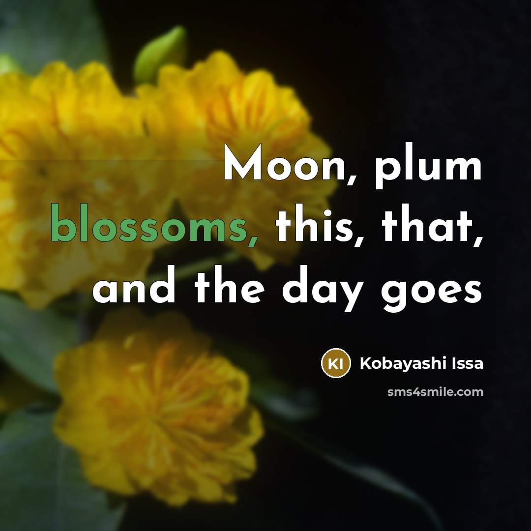 “Moon, plum blossoms, this, that, and the day goes” quote by Kobayashi Issa