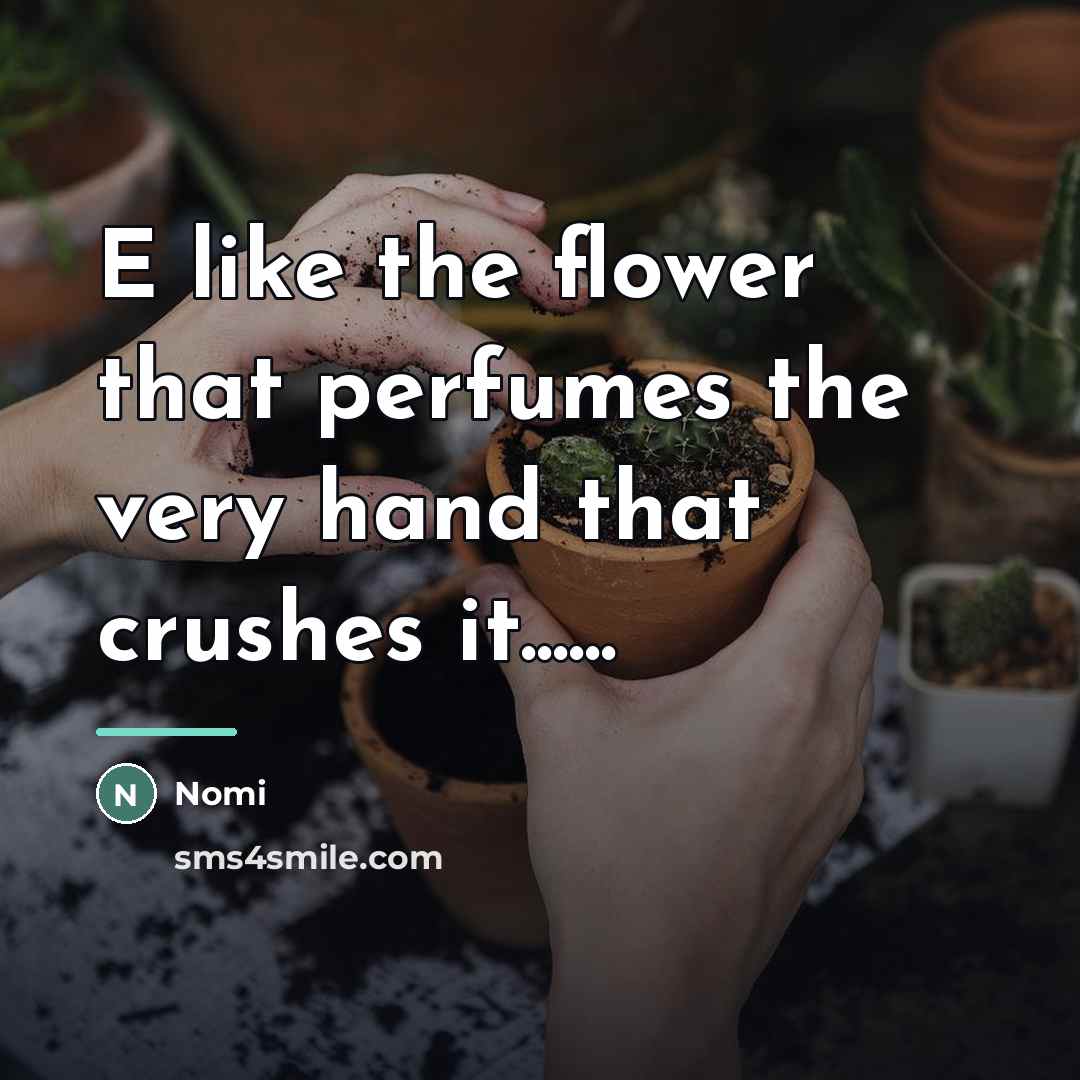 “E like the flower that perfumes the very hand that…” quote by Nomi