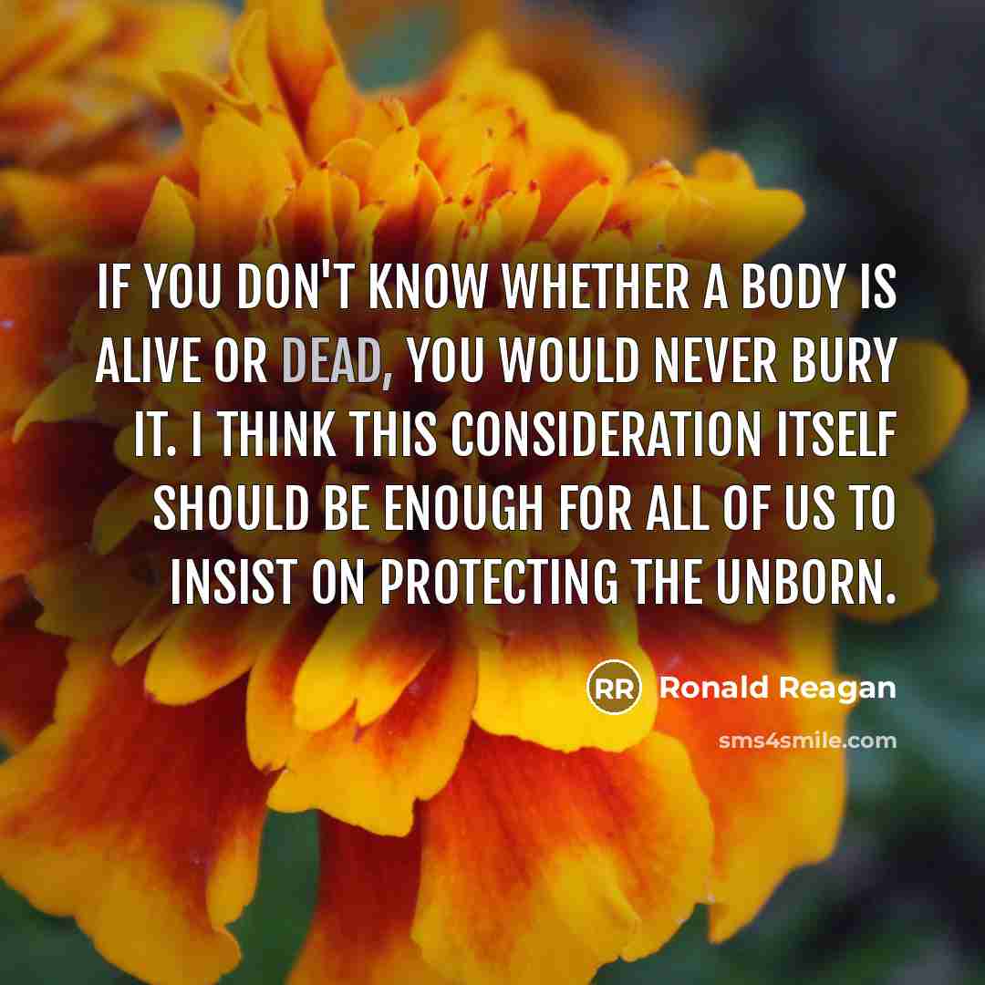 “If you don't know whether a body is alive or…” quote by Ronald Reagan