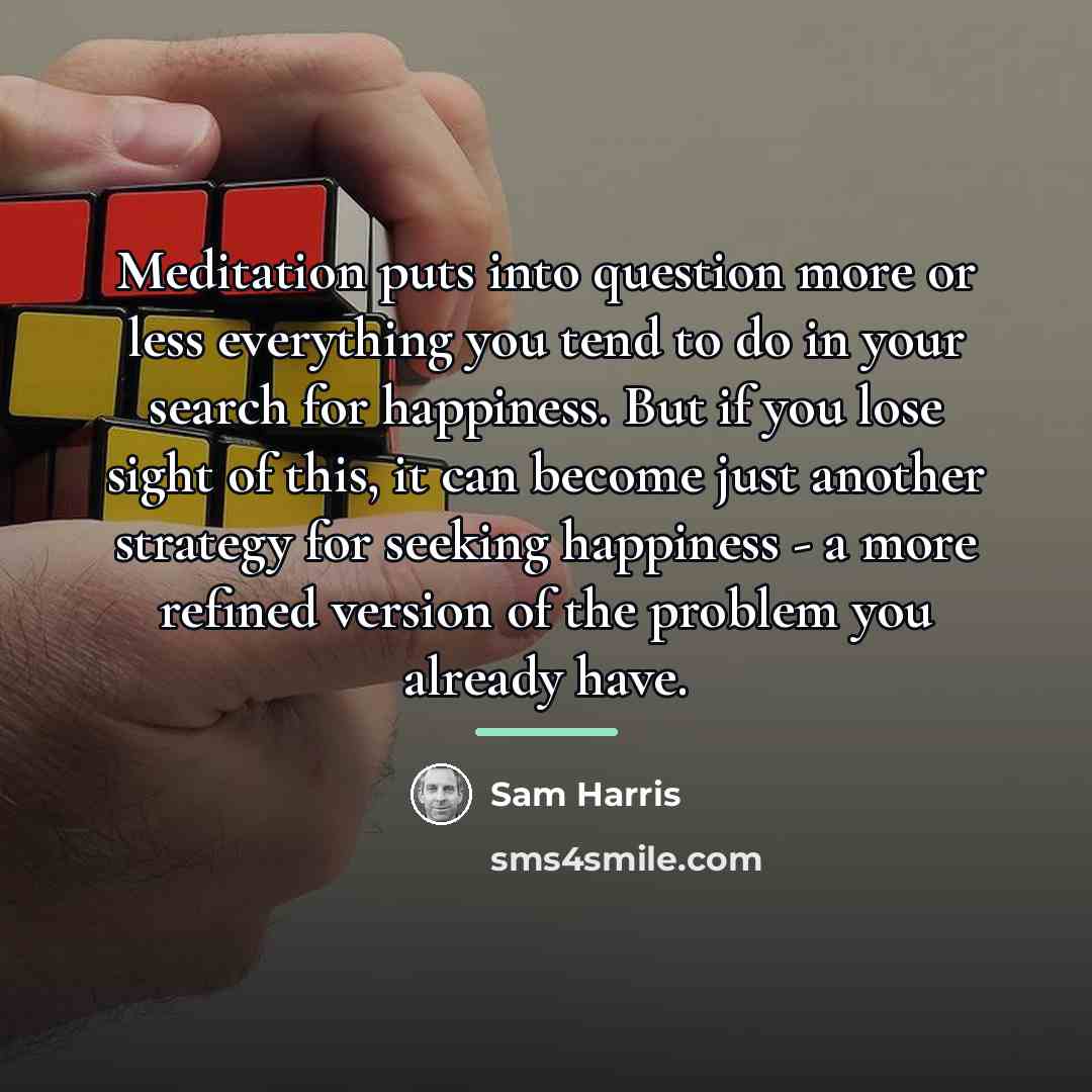 “Meditation puts into question more or less everything you tend…” quote by Sam Harris