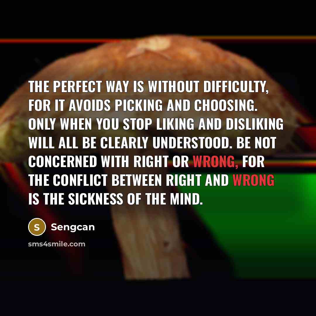 “The perfect way is without difficulty, for it avoids picking and choosing. Only when you stop liking and disliking will all be clearly understood. Be not concerned with right or wrong, for the conflict between right and wrong is the sickness of the mind.” quote by Sengcan