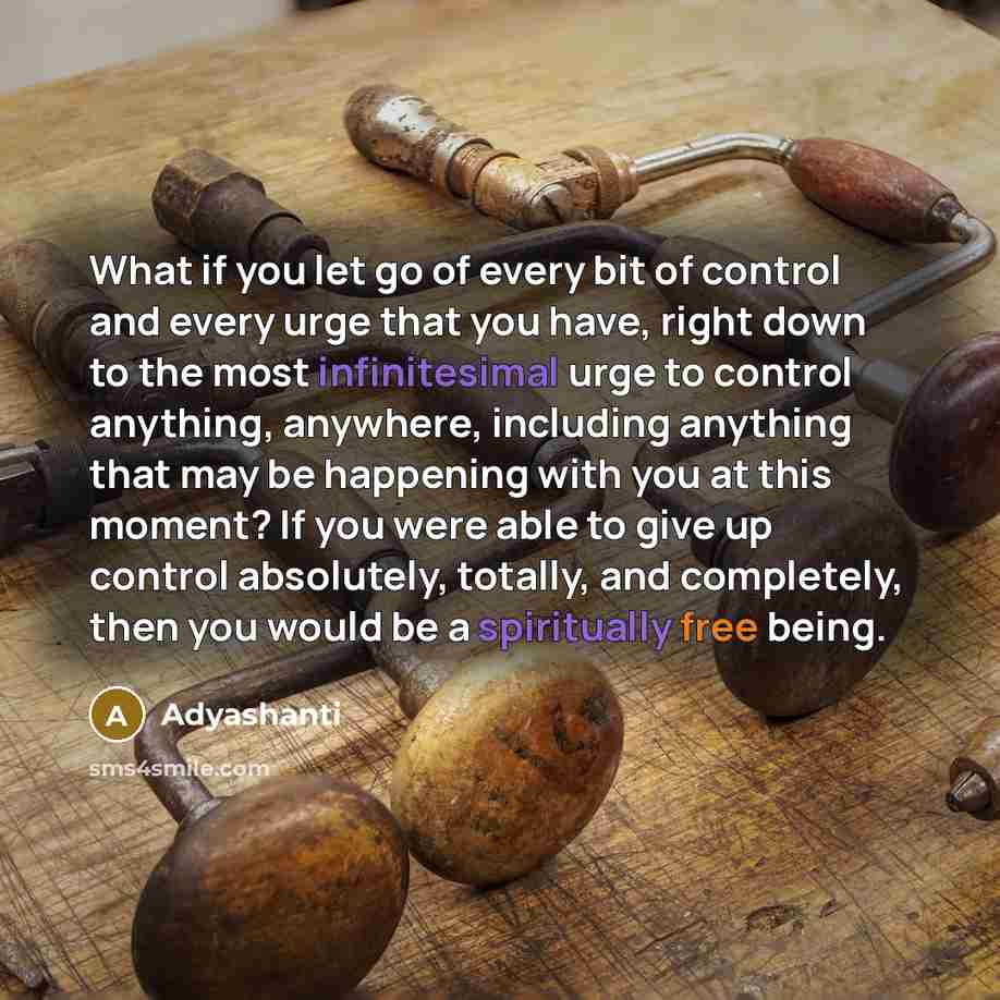 “What if you let go of every bit of control…” quote by Adyashanti