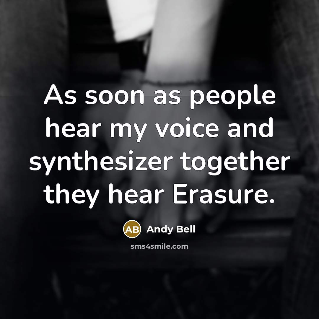 “As soon as people hear my voice and synthesizer together…” quote by Andy Bell
