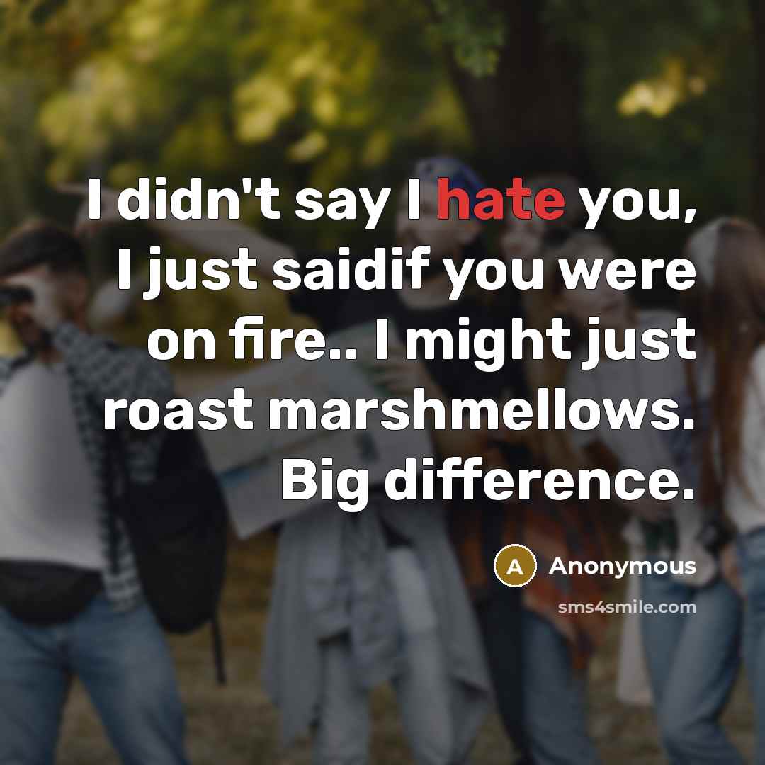 “I didn't say I hate you, I just saidif you…” quote by Anonymous