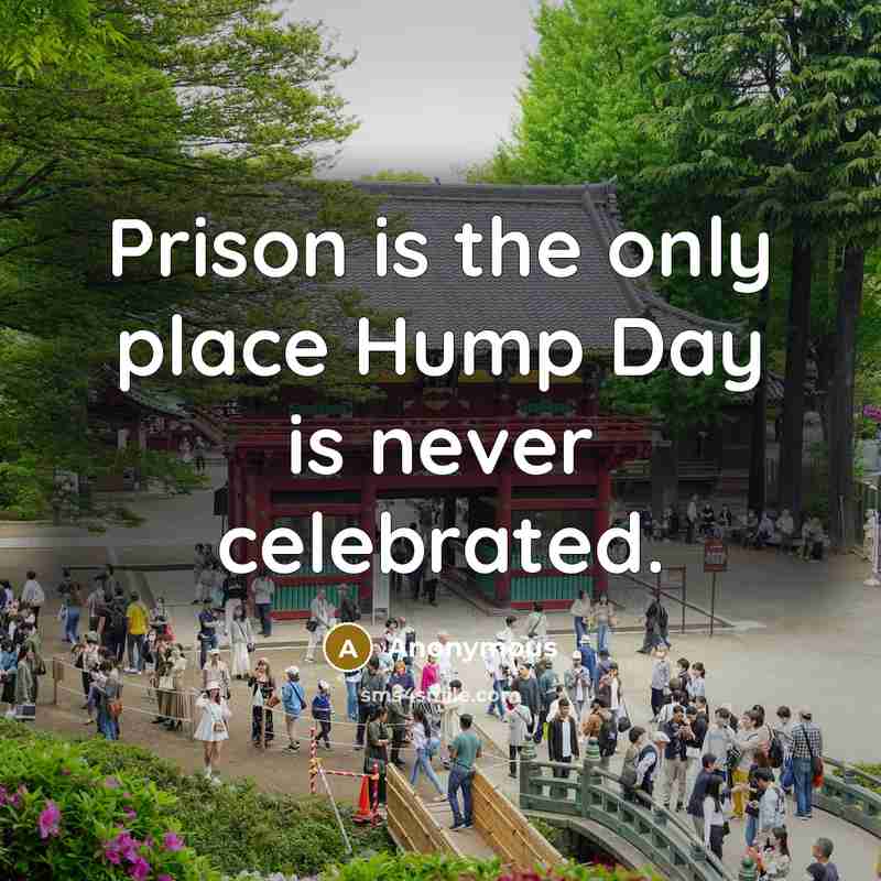“Prison is the only place Hump Day is never celebrated.…” quote by Anonymous
