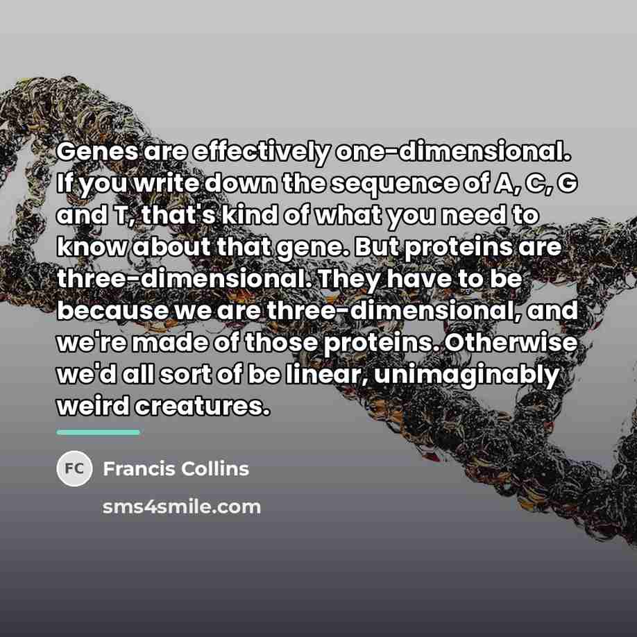 “Genes are effectively one-dimensional. If you write down the sequence…” quote by Francis Collins