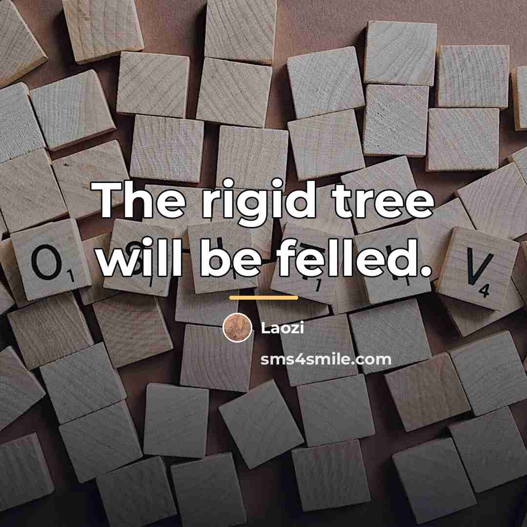 “The rigid tree will be felled.…” quote by Laozi