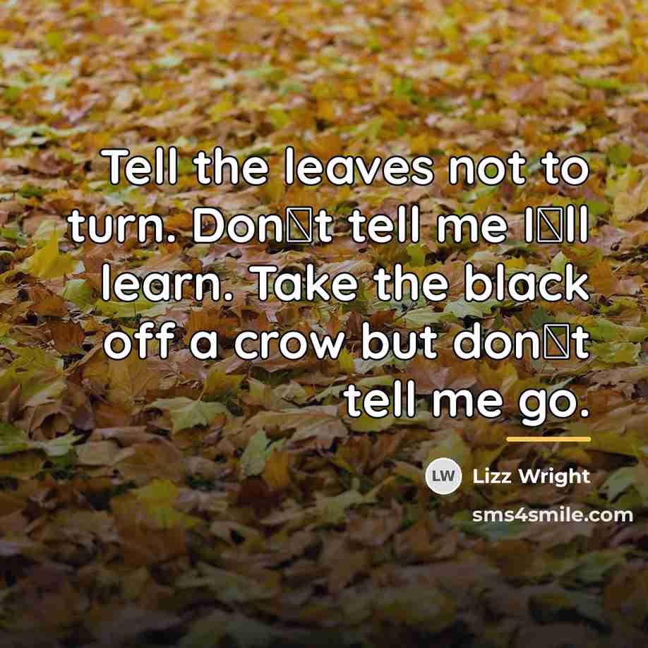 “Tell the leaves not to turn. Don�t tell me I�ll…” quote by Lizz Wright