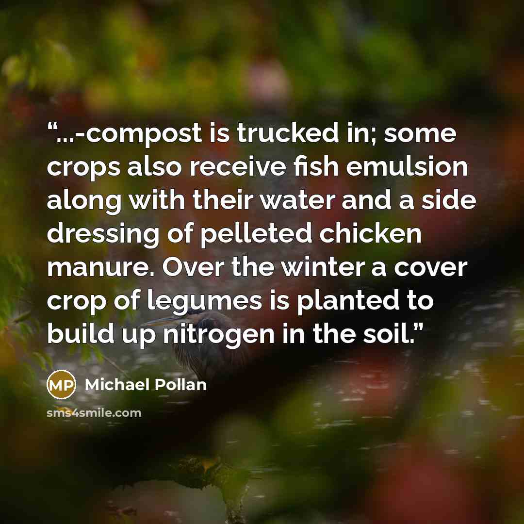 “...-compost is trucked in; some crops also receive fish emulsion along with their water and a side dressing of pelleted chicken manure. Over the winter a cover crop of legumes is planted to build up nitrogen in the soil.” quote by Michael Pollan