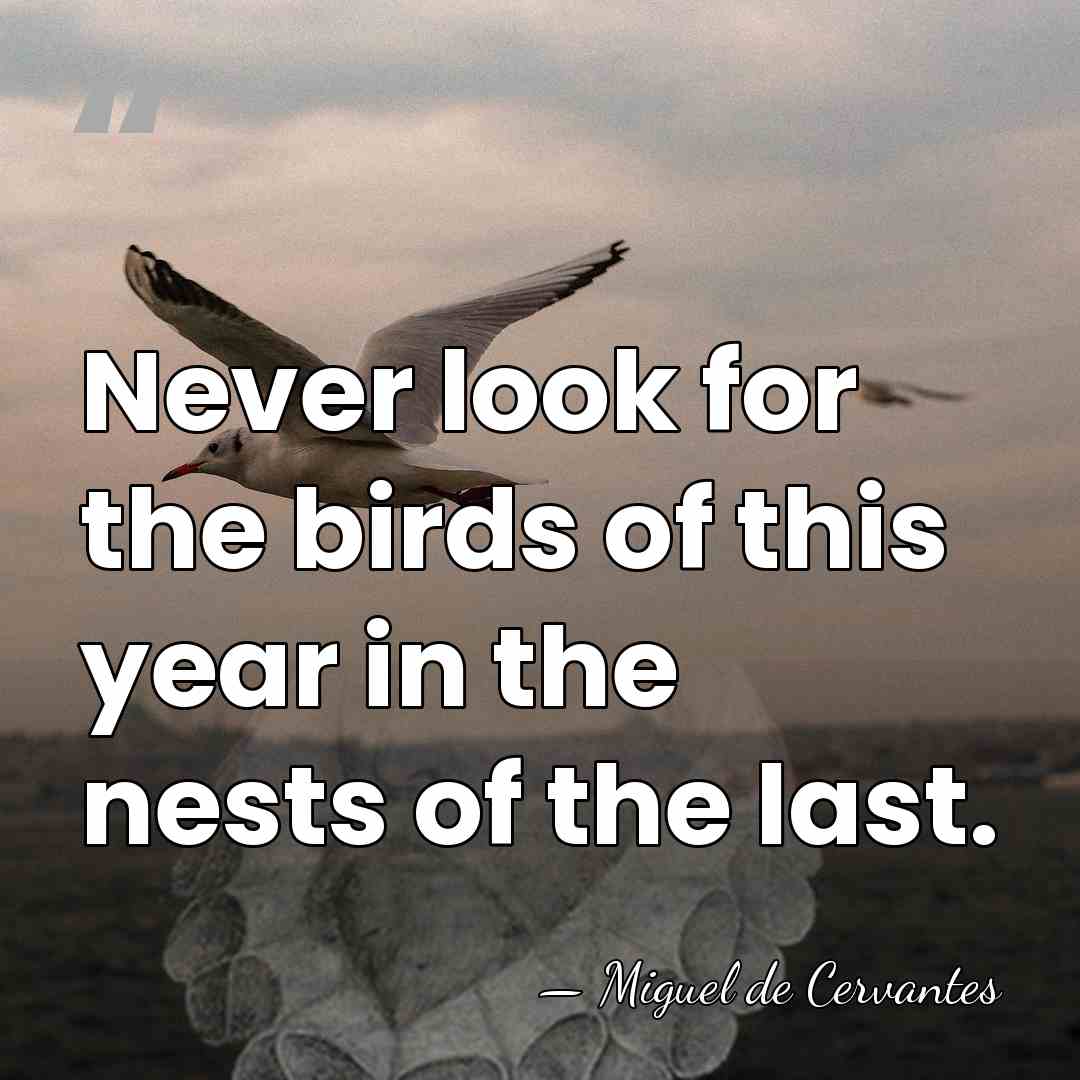 Never look for the birds of this year in the nests of&hellip; - Miguel de Cervantes