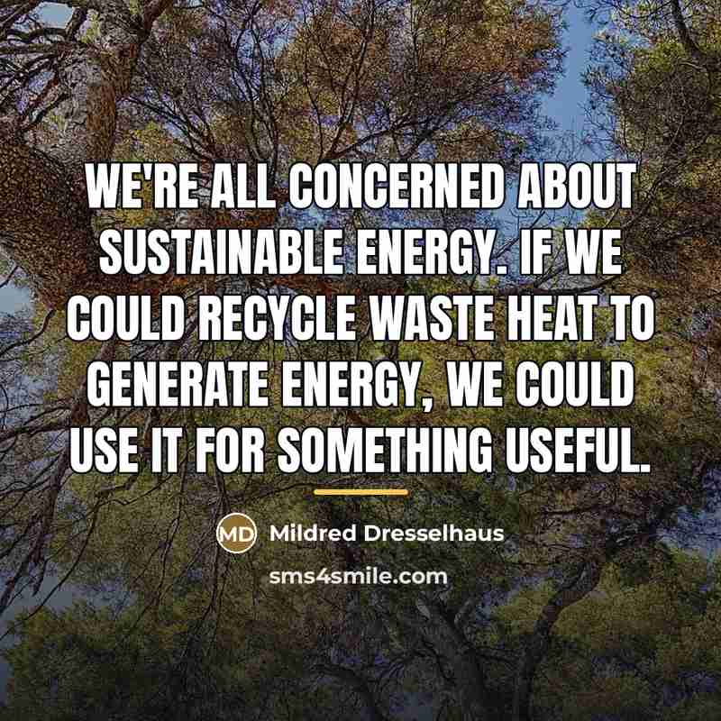 “We're all concerned about sustainable energy. If we could recycle…” quote by Mildred Dresselhaus
