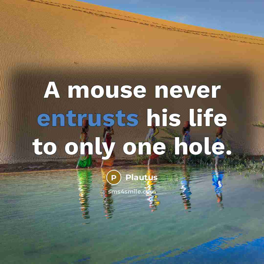 “A mouse never entrusts his life to only one hole.” quote by Plautus