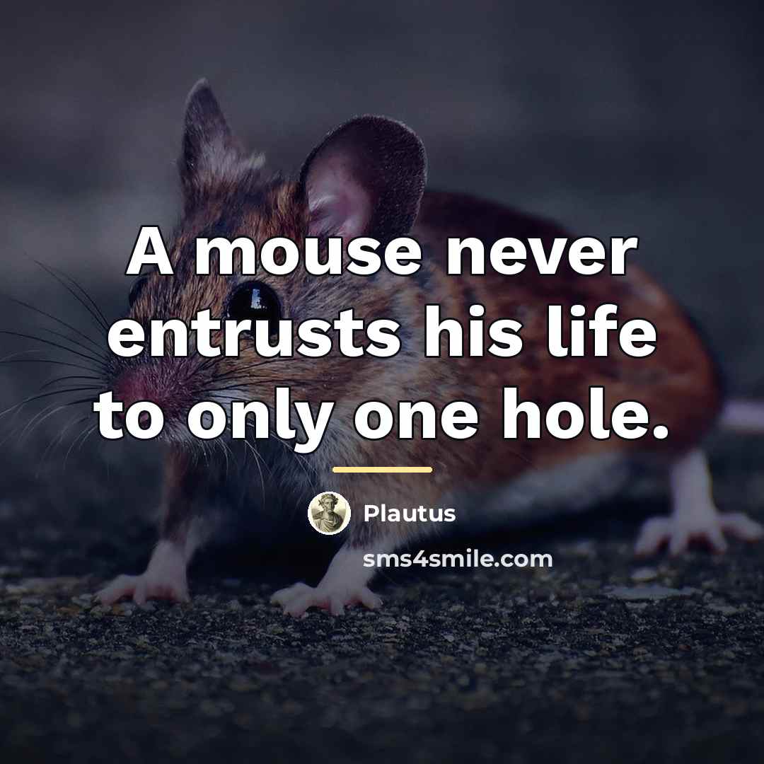 “A mouse never entrusts his life to only one hole.…” quote by Plautus