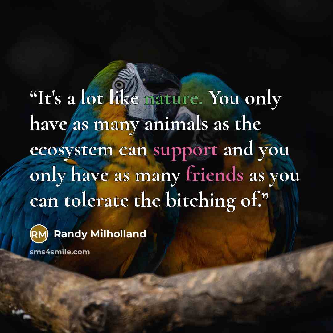 “It's a lot like nature. You only have as many animals as the ecosystem can support and you only have as many friends as you can tolerate the bitching of.” quote by Randy Milholland
