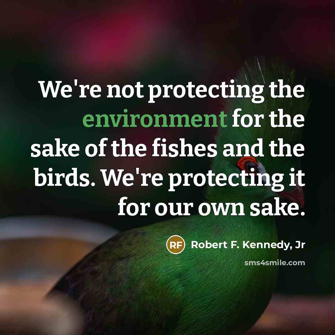 “We're not protecting the environment for the sake of the…” quote by Robert F. Kennedy, Jr