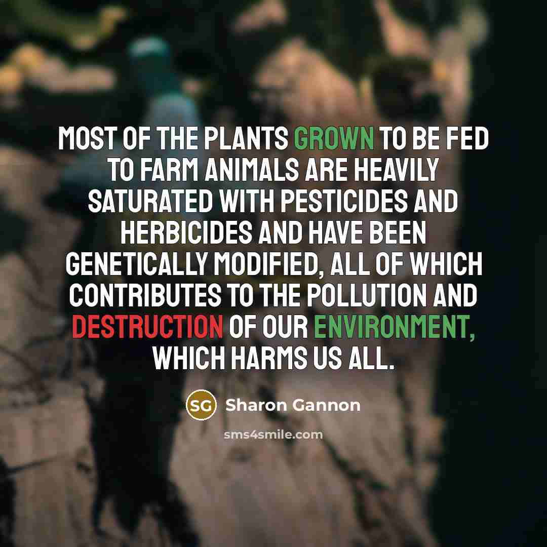“Most of the plants grown to be fed to farm…” quote by Sharon Gannon