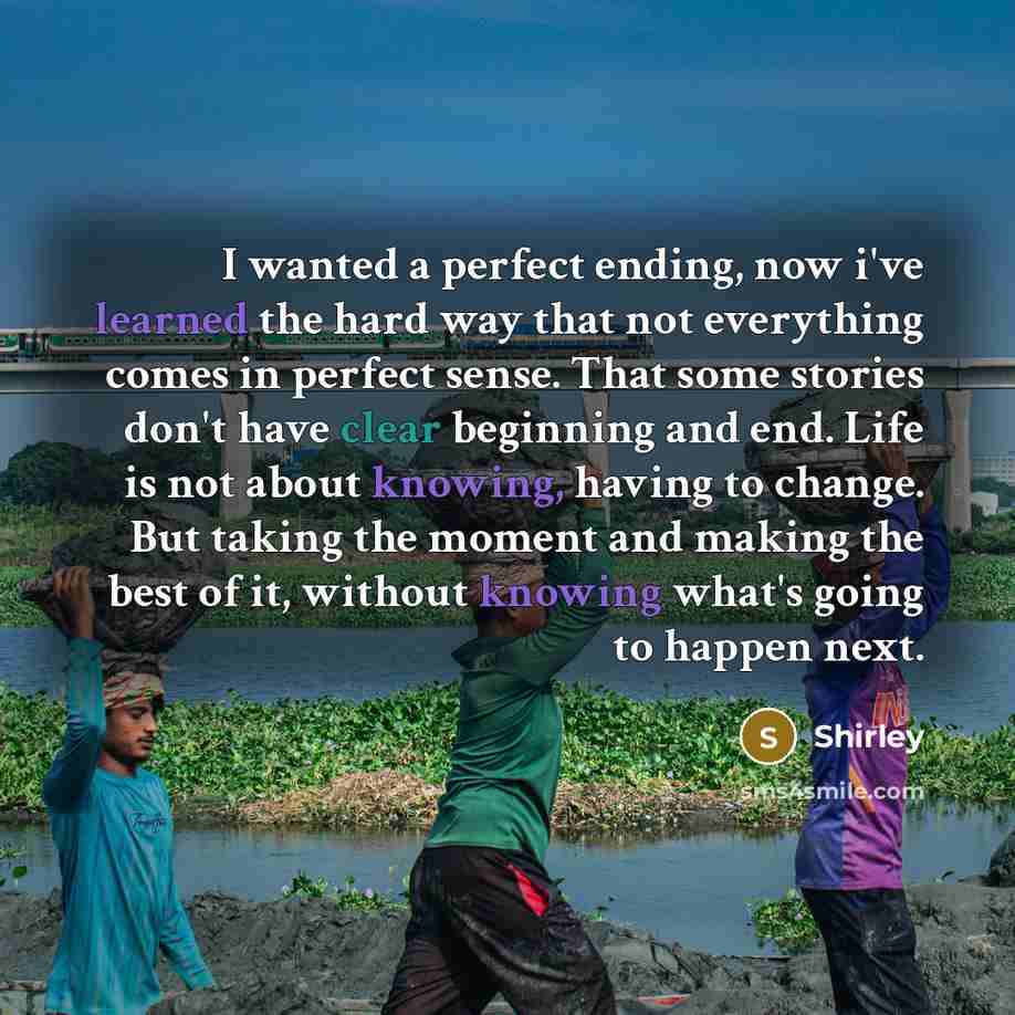 “I wanted a perfect ending, now i've learned the hard way that not everything comes in perfect sense. That some stories don't have clear beginning and end. Life is not about knowing, having to change. But taking the moment and making the best of it, without knowing what's going to happen next.” quote by Shirley