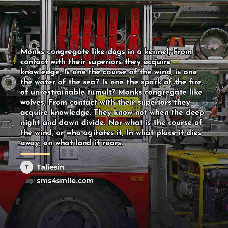 “Monks congregate like dogs in a kennel, From contact with…” quote by Taliesin