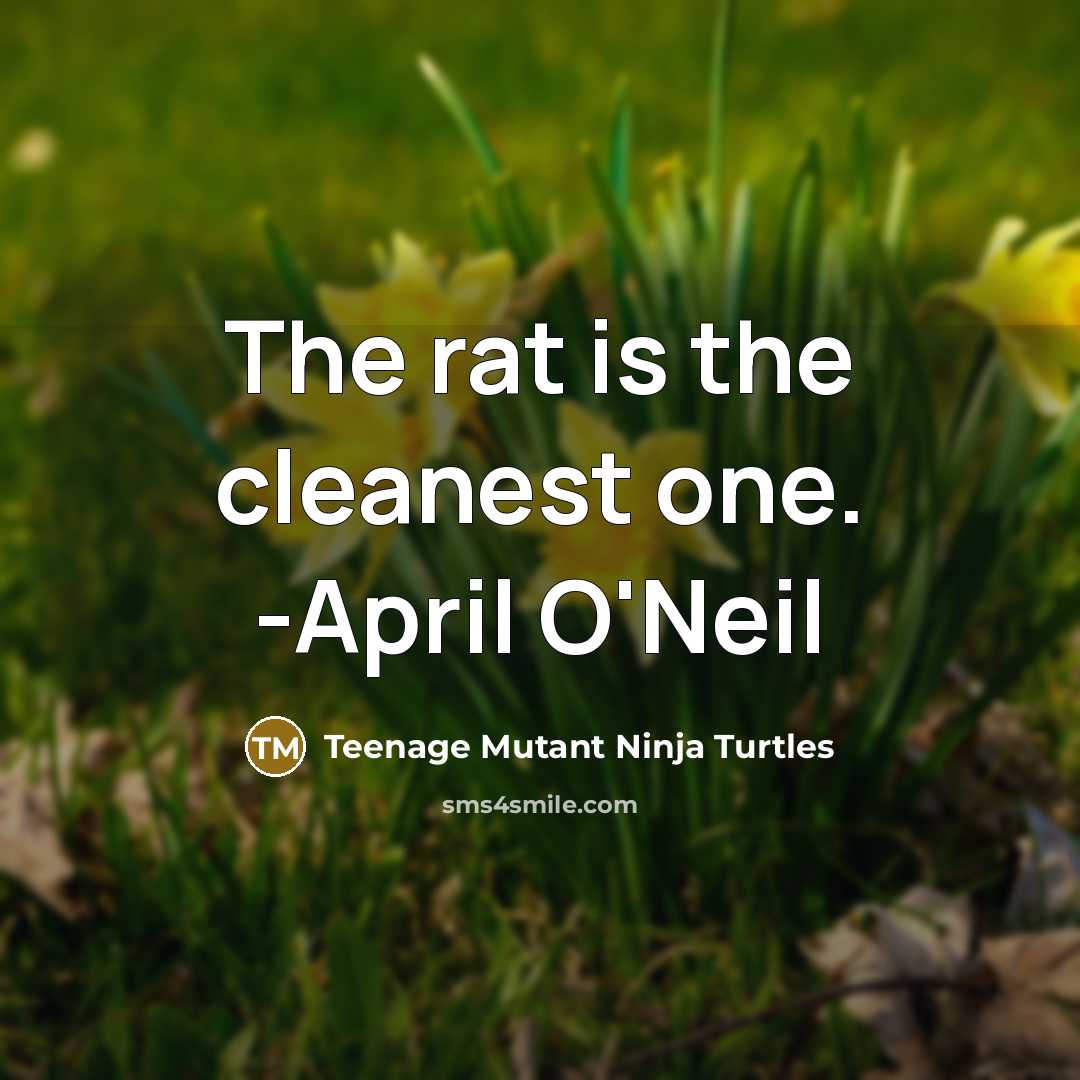 “The rat is the cleanest one. -April O'Neil” quote by Teenage Mutant Ninja Turtles