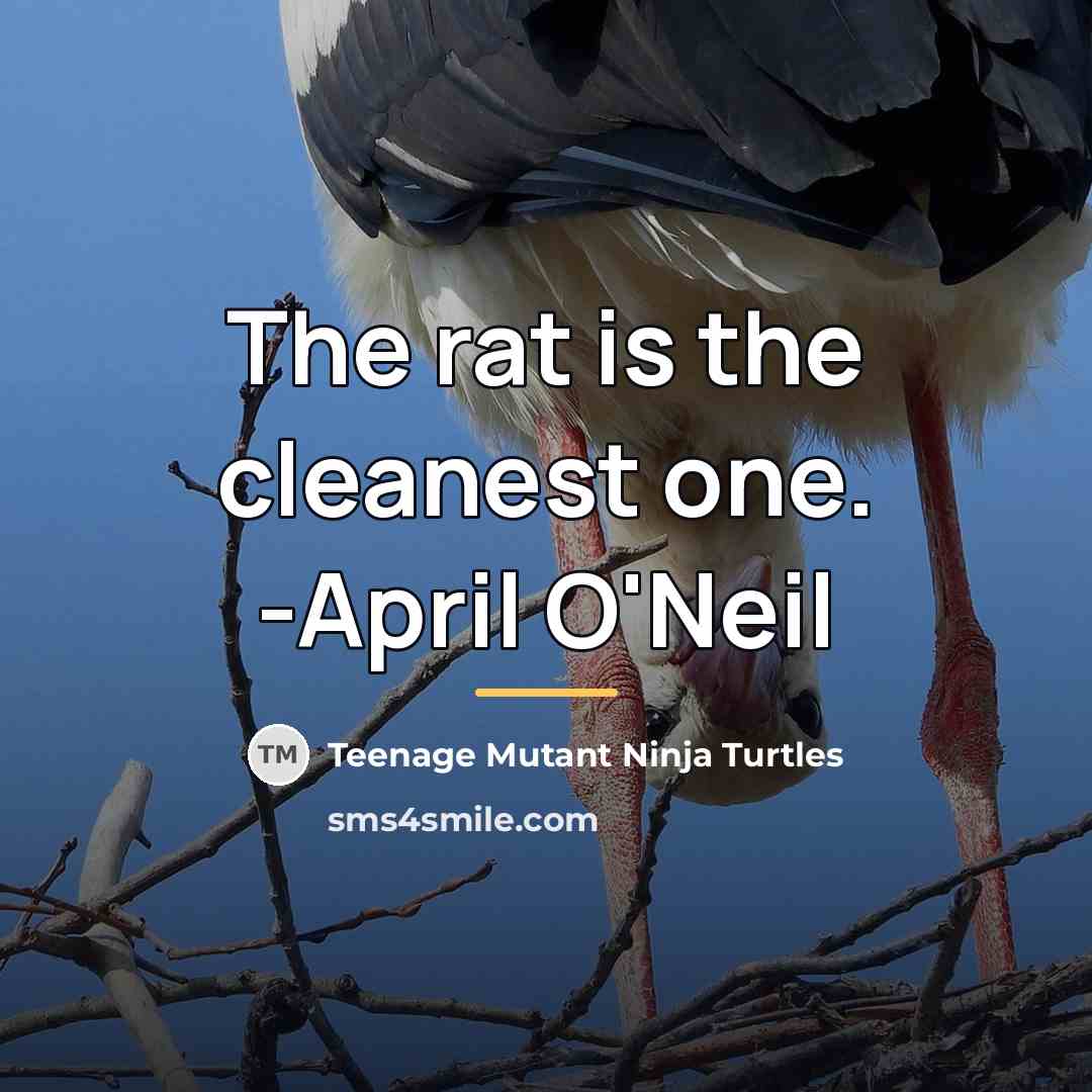“The rat is the cleanest one. -April O'Neil…” quote by Teenage Mutant Ninja Turtles