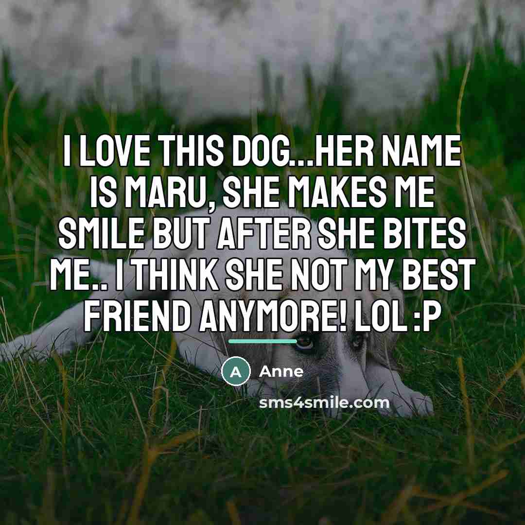 “I love this dog...her name is MARU, she makes me…” quote by Anne