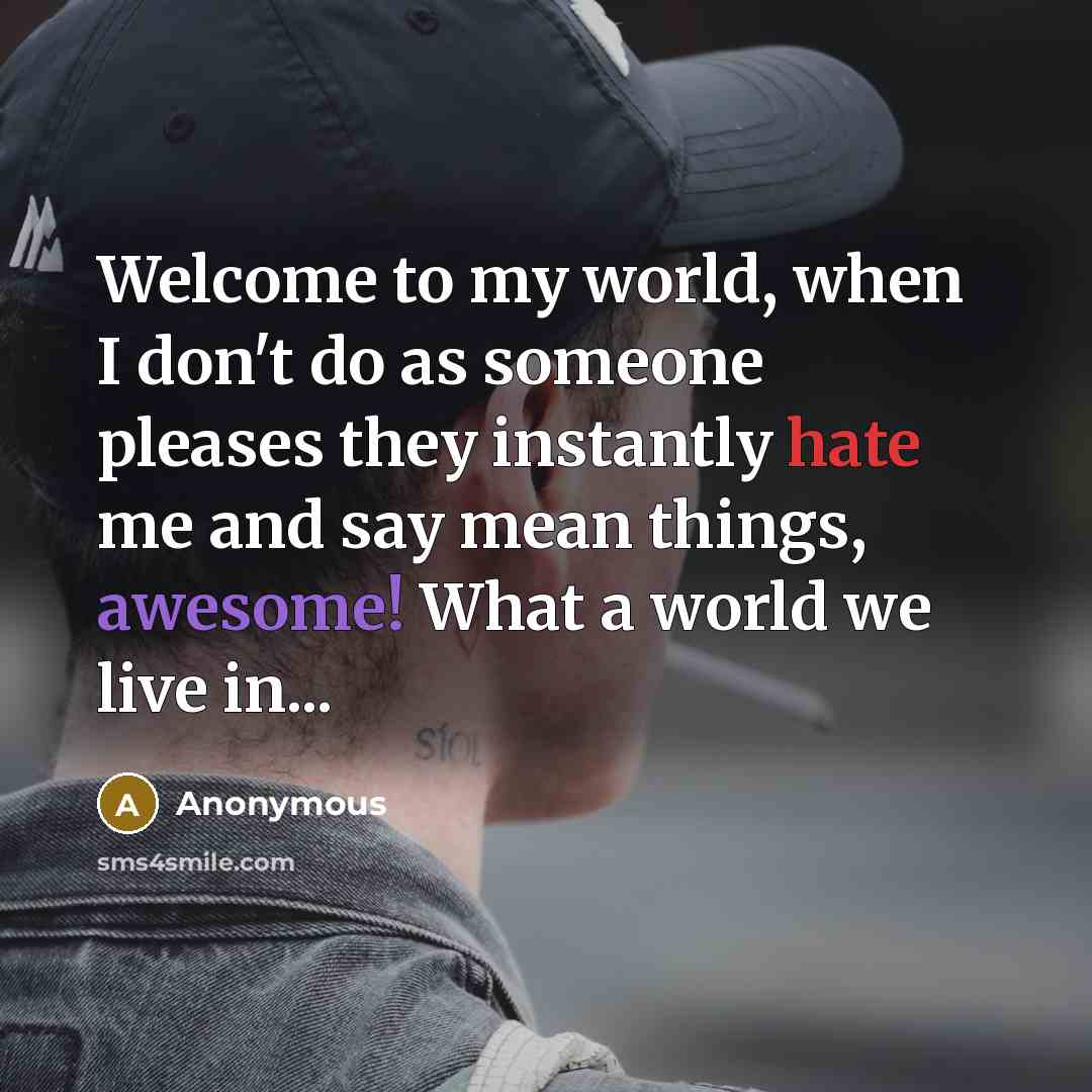 “Welcome to my world, when I don't do as someone pleases they instantly hate me and say mean things, awesome! What a world we live in...” quote by Anonymous