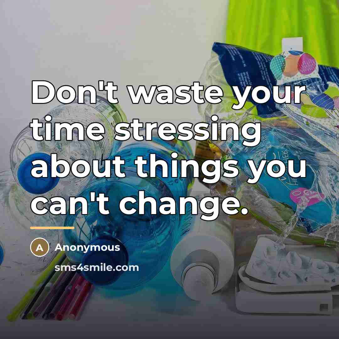 “Don't waste your time stressing about things you can't change.…” quote by Anonymous