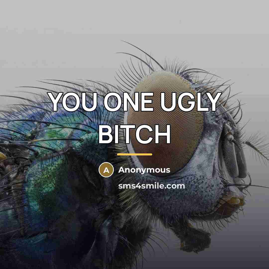 “YOU ONE UGLY BITCH” quote by Anonymous