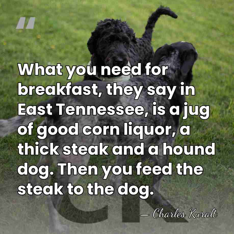 What you need for breakfast, they say in East Tennessee, is a&hellip; - Charles Kuralt