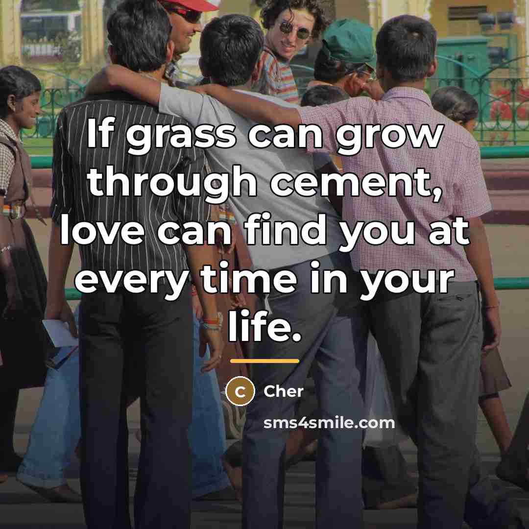 “If grass can grow through cement, love can find you…” quote by Cher